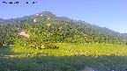 area1-20250713055021.jpg
