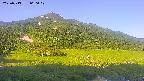 area1-20250713060021.jpg