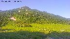 area1-20250713061019.jpg