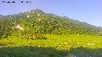 area1-20250713062020.jpg