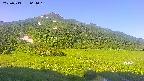 area1-20250713064019.jpg