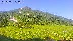 area1-20250713071019.jpg