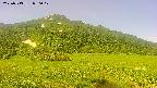 area1-20250713080020.jpg