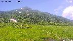 area1-20250713134018.jpg