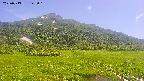 area1-20250713142019.jpg