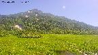 area1-20250713145020.jpg