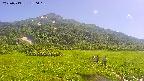 area1-20250713150018.jpg