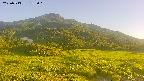 area1-20250713182018.jpg