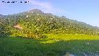 area1-20250714051019.jpg