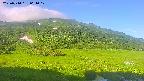 area1-20250714064018.jpg