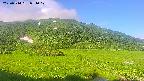 area1-20250714071018.jpg