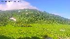 area1-20250714072020.jpg