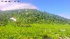area1-20250714080020.jpg