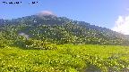 area1-20250714174020.jpg