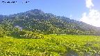 area1-20250714175021.jpg