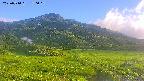 area1-20250714180020.jpg