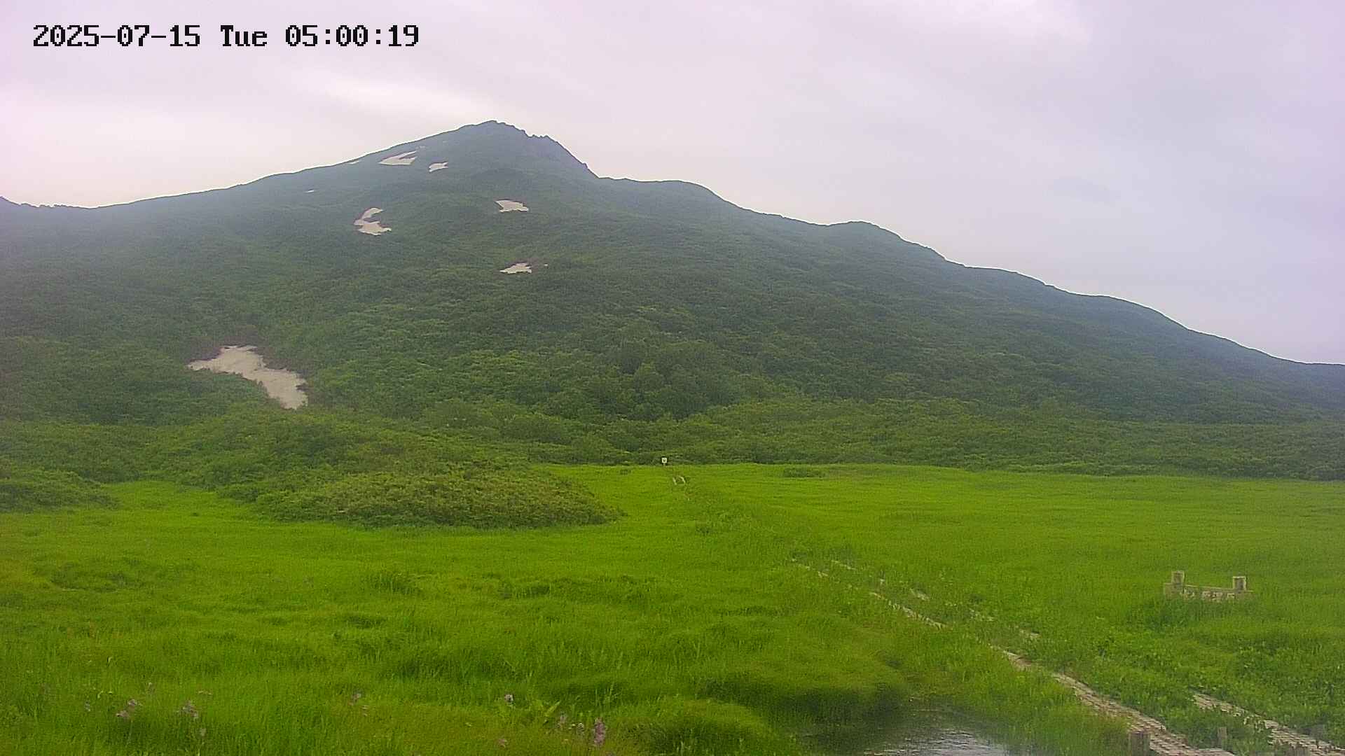 area1-20250715050020.jpg