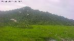 area1-20250715050020.jpg