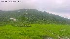 area1-20250715082020.jpg