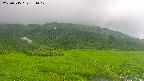 area1-20250715171018.jpg
