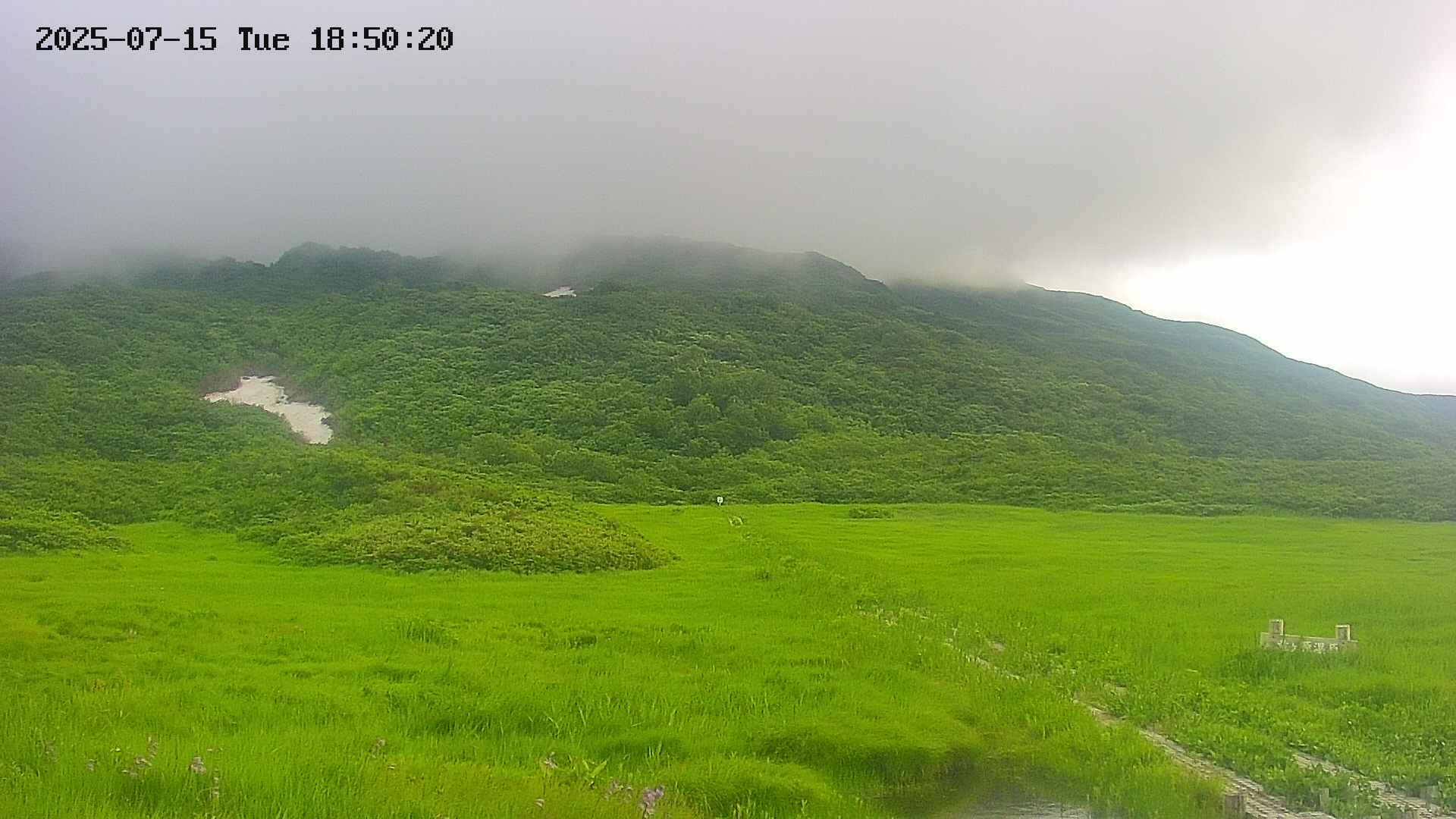 area1-20250715185023.jpg