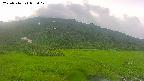 area1-20250716055018.jpg