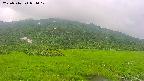 area1-20250716071018.jpg