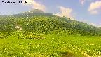 area1-20250716094026.jpg
