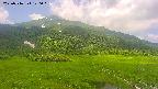 area1-20250716120022.jpg