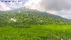 area1-20250716122024.jpg
