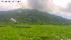 area1-20250716124022.jpg
