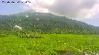 area1-20250716125022.jpg