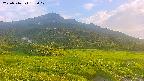 area1-20250716182020.jpg