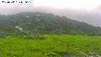 area1-20250717050018.jpg