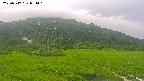 area1-20250717051020.jpg