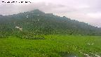 area1-20250717061018.jpg