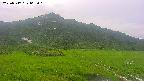 area1-20250717063021.jpg