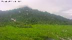 area1-20250717070020.jpg