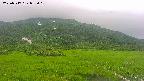 area1-20250717082019.jpg