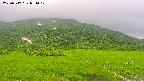 area1-20250717084020.jpg