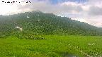 area1-20250717105018.jpg