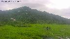 area1-20250717161017.jpg