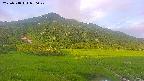 area1-20250718050021.jpg