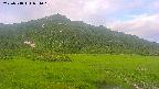 area1-20250718051020.jpg