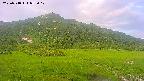 area1-20250718052019.jpg