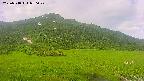 area1-20250718070022.jpg