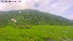 area1-20250718092020.jpg