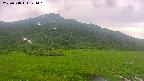 area1-20250718144020.jpg