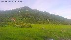 area1-20250719050020.jpg