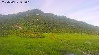 area1-20250719051018.jpg